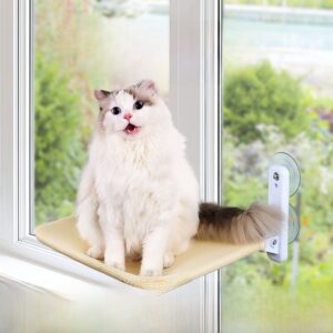 d0a281ad 5088 4a16 a4d3 dccdae2f212d.jpeg