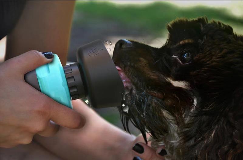 dog drinking